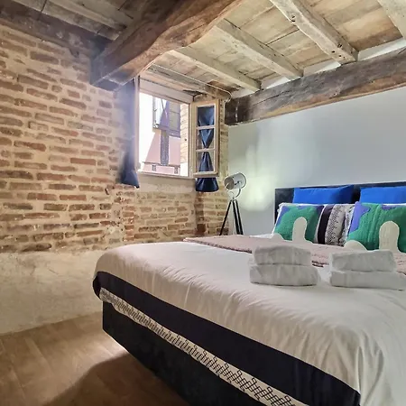 La Vue Du Clocher Parking Terrasse Vue Cathedrale * Albi